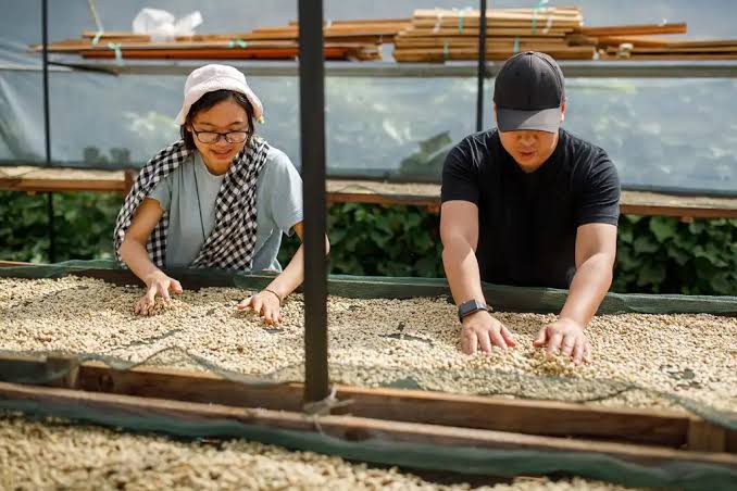 Sơn Pacamara Coffee Farm Experience – Da Lat
